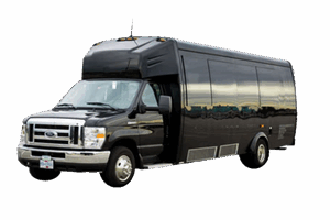 Mini Bus